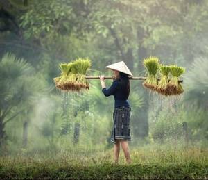 宝贝对我满意吗那里别 师兄太大了我做不下去